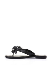 HOT-DJTX-011 Flat Slipper Shoes