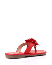 HOT-DJTX-011 Flat Slipper Shoes