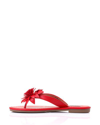 HOT-DJTX-011 Flat Slipper Shoes