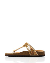 HOT-DJTX-031 Flatform Slipper Shoes